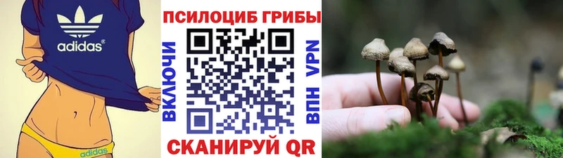 Галлюциногенные грибы Cubensis  хочу наркоту  Шелехов 